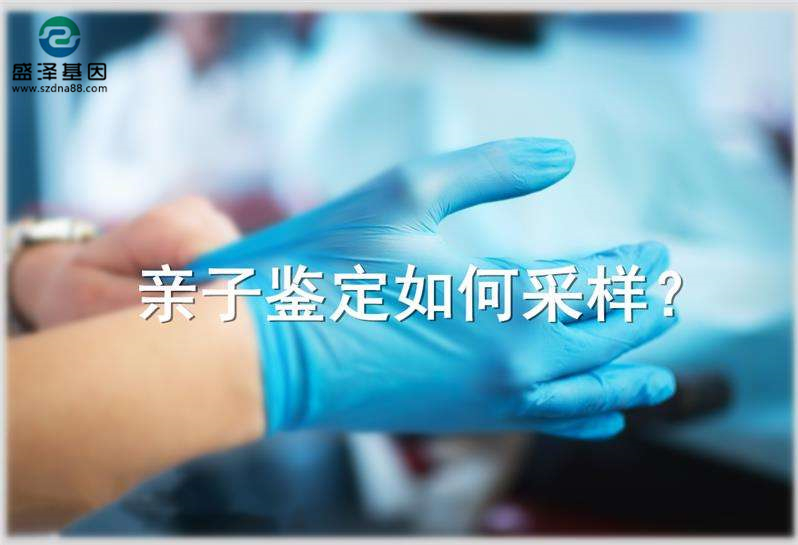 偷偷撿了一把頭發可以送去做親子鑒定嗎？
