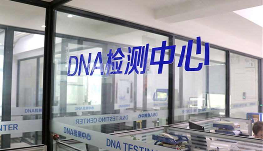 權威DNA鑒定機構，檢測報告全國有效!