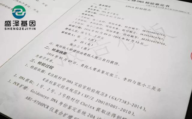 鑒定人如何看懂親子鑒定報告書上的基因分型數據和結論？