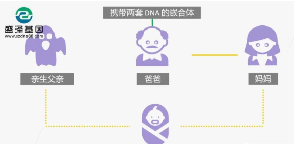 醫(yī)學怪病奇美拉現(xiàn)象：親自生未必是親生？你身體還住著另一個人？