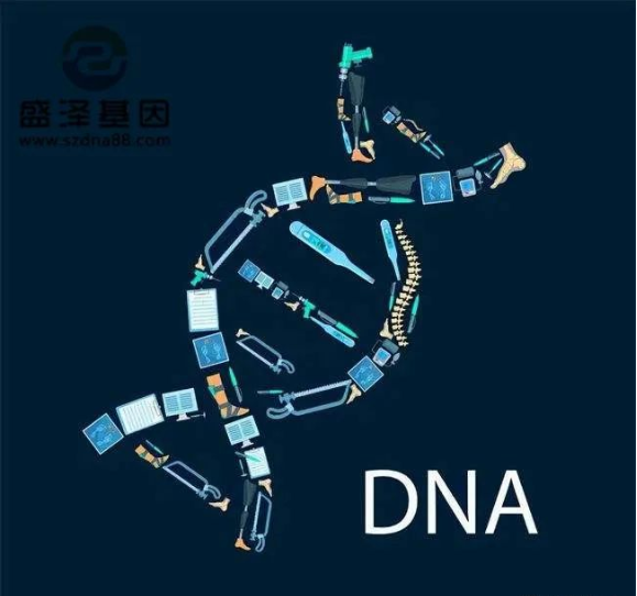 醫(yī)學怪病奇美拉現(xiàn)象：親自生未必是親生？你身體還住著另一個人？
