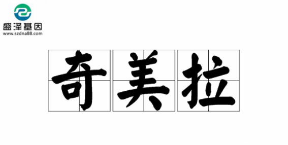 醫(yī)學怪病奇美拉現(xiàn)象：親自生未必是親生？你身體還住著另一個人？