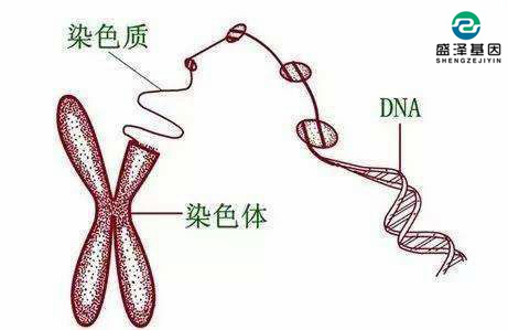 個(gè)人隱私親子鑒定可以保密嗎？怎么選擇司法親子鑒定機(jī)構(gòu)？