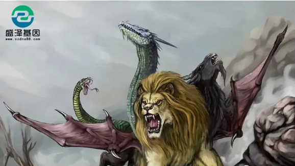 醫(yī)學怪病奇美拉現(xiàn)象：親自生未必是親生？你身體還住著另一個人？