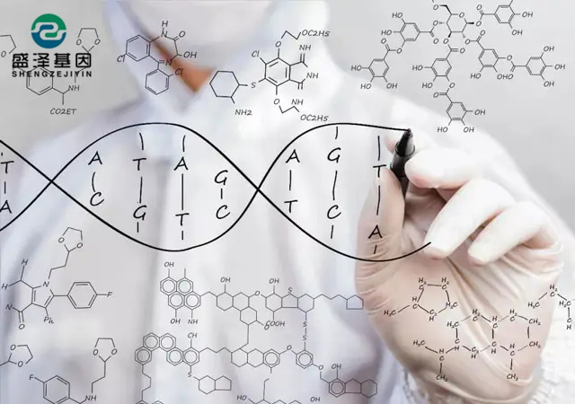 親子鑒定位點檢測結果是如何得出來的？（DNA提取物、基因擴增儀）