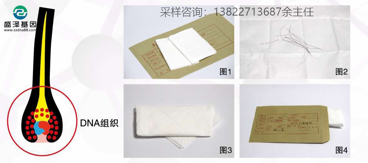 個人親子鑒定簡單采樣方法指導（血痕、口腔拭子、毛發）