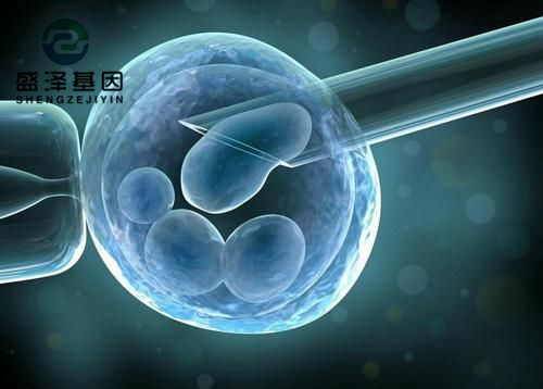 親子鑒定師講述：老公明明是無精癥，老婆卻試管嬰兒懷孕成功？