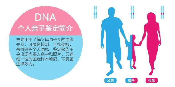 中山東區(qū)司法親子鑒定中心給客戶做親子鑒定準確率如何？