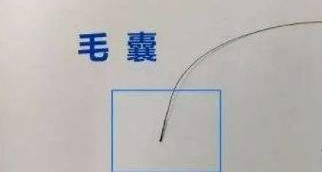 隱私親子鑒定自己一人能完成樣本采集嗎？