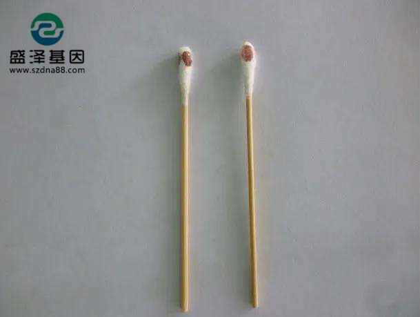棉簽上的血其實就是血痕樣本，親子鑒定一般的載體的選擇有采血卡