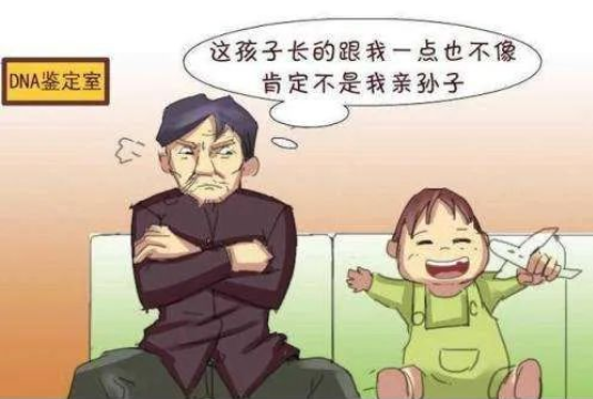 透過現象看本質，親子鑒定者折射出的是忠貞與道德的信任危機！