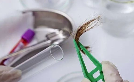 煙頭、血痕、毛發(fā)，做親子鑒定用哪些樣本最為準確？