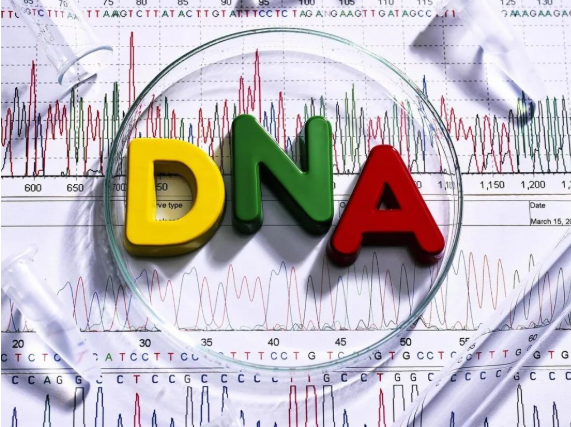 做DNA親子鑒定準確率多少？親子鑒定非親生的比率高嗎？