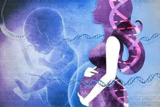 孕婦懷孕幾個月可以做dna親子鑒定？對胎兒有傷害嗎？