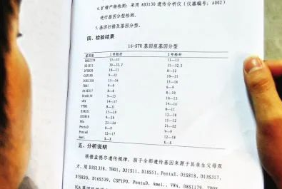 對隱私親子鑒定承擔法律責任，不讓親子鑒定成“傷害婚姻鑒定”