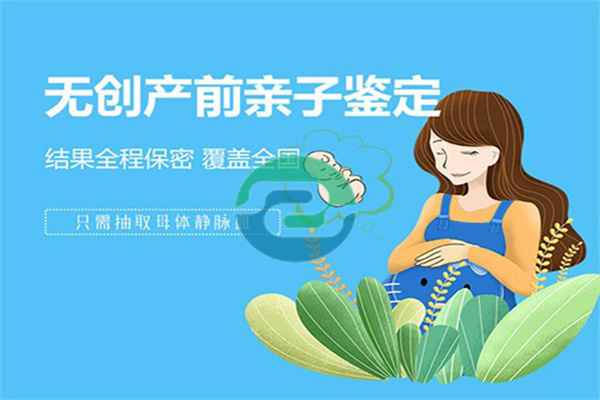 中山無創胎兒親子鑒定的原則及費用